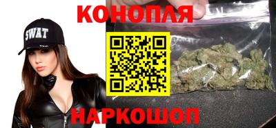 прущие грибы Краснознаменск