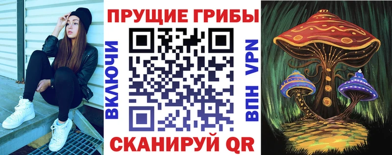 Псилоцибиновые грибы Psilocybe наркота Краснодар